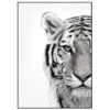 Gerahmter Digitaldruck White Tiger