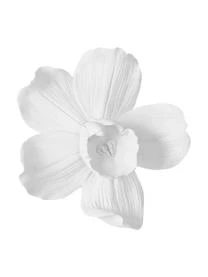 Wandobjekt Orchid, Verschiedene Größen